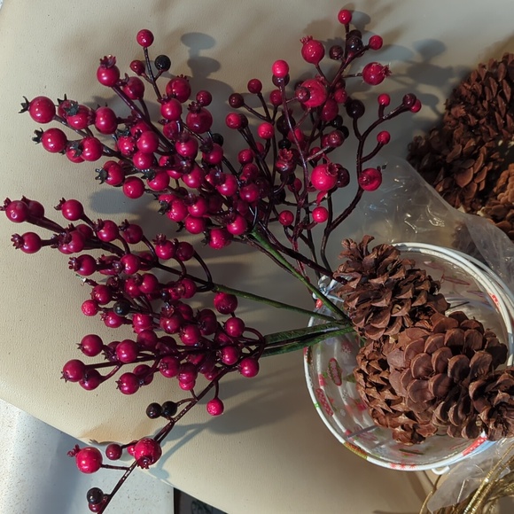 Christmas crafts, acorns, cranberries, twilight & curly sparkles. 4 buckets! - Picture 2 of 5